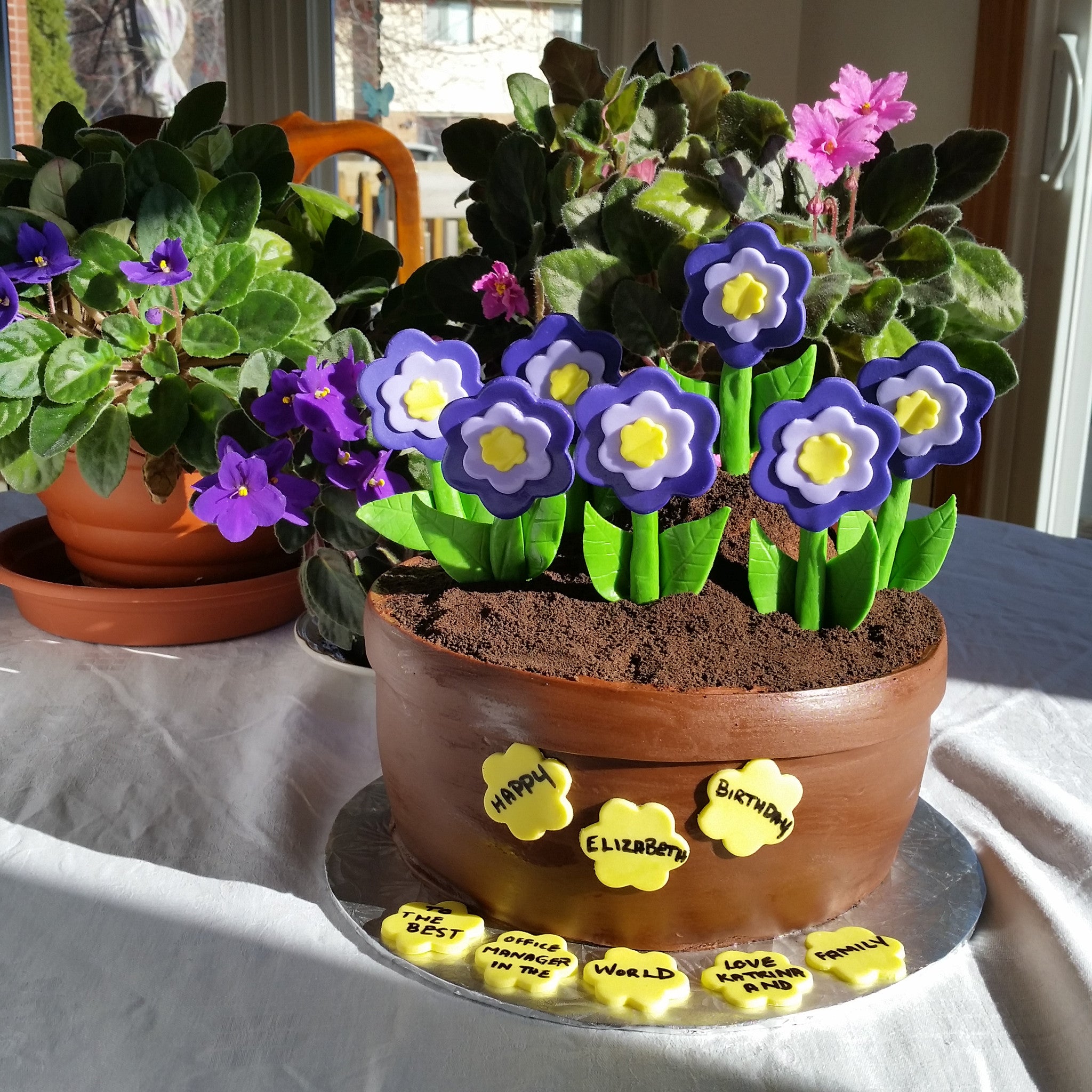 plant pot birthday cake Flower Pot Birthday Cake